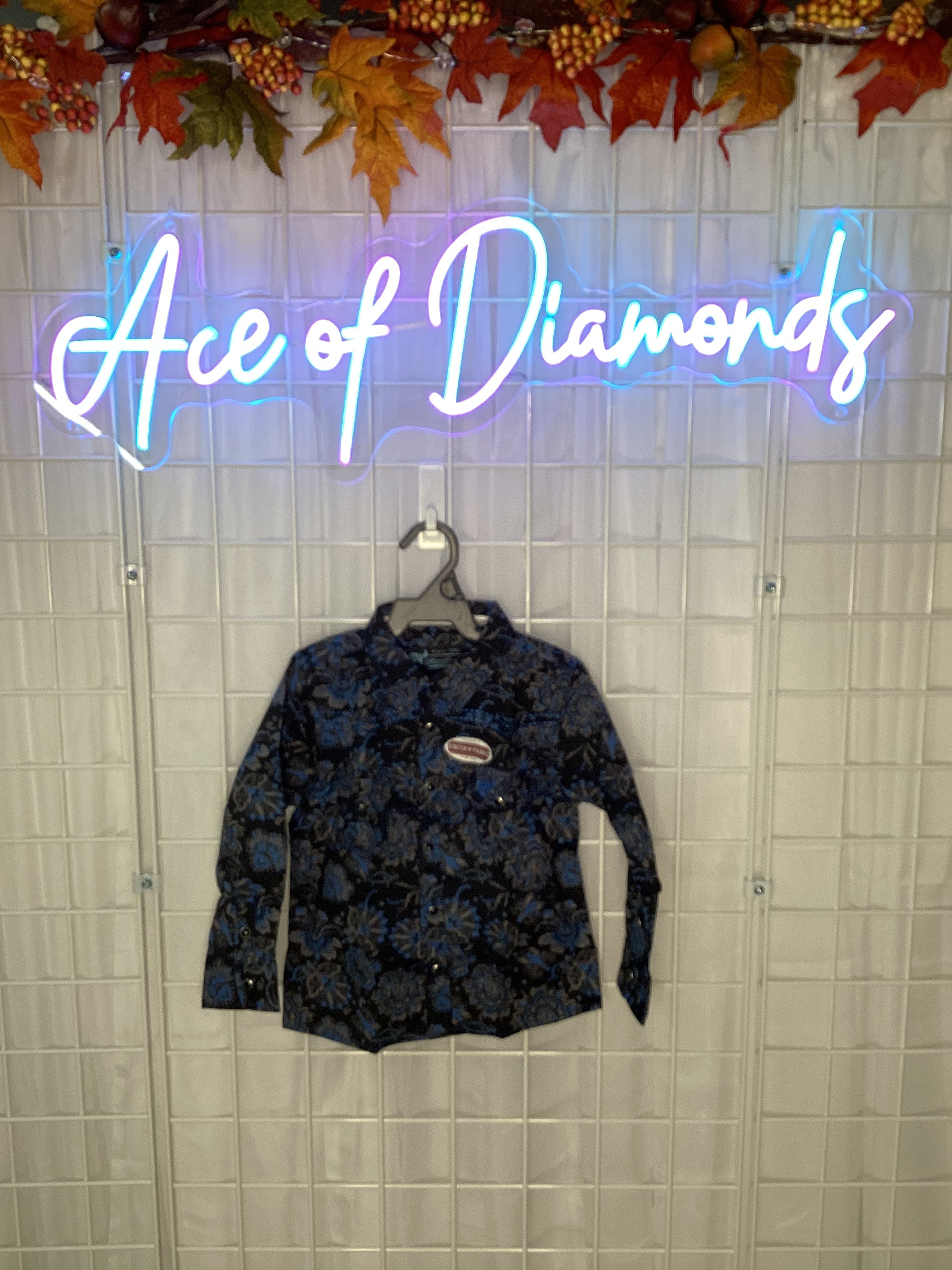 Peacock Paisley shirt