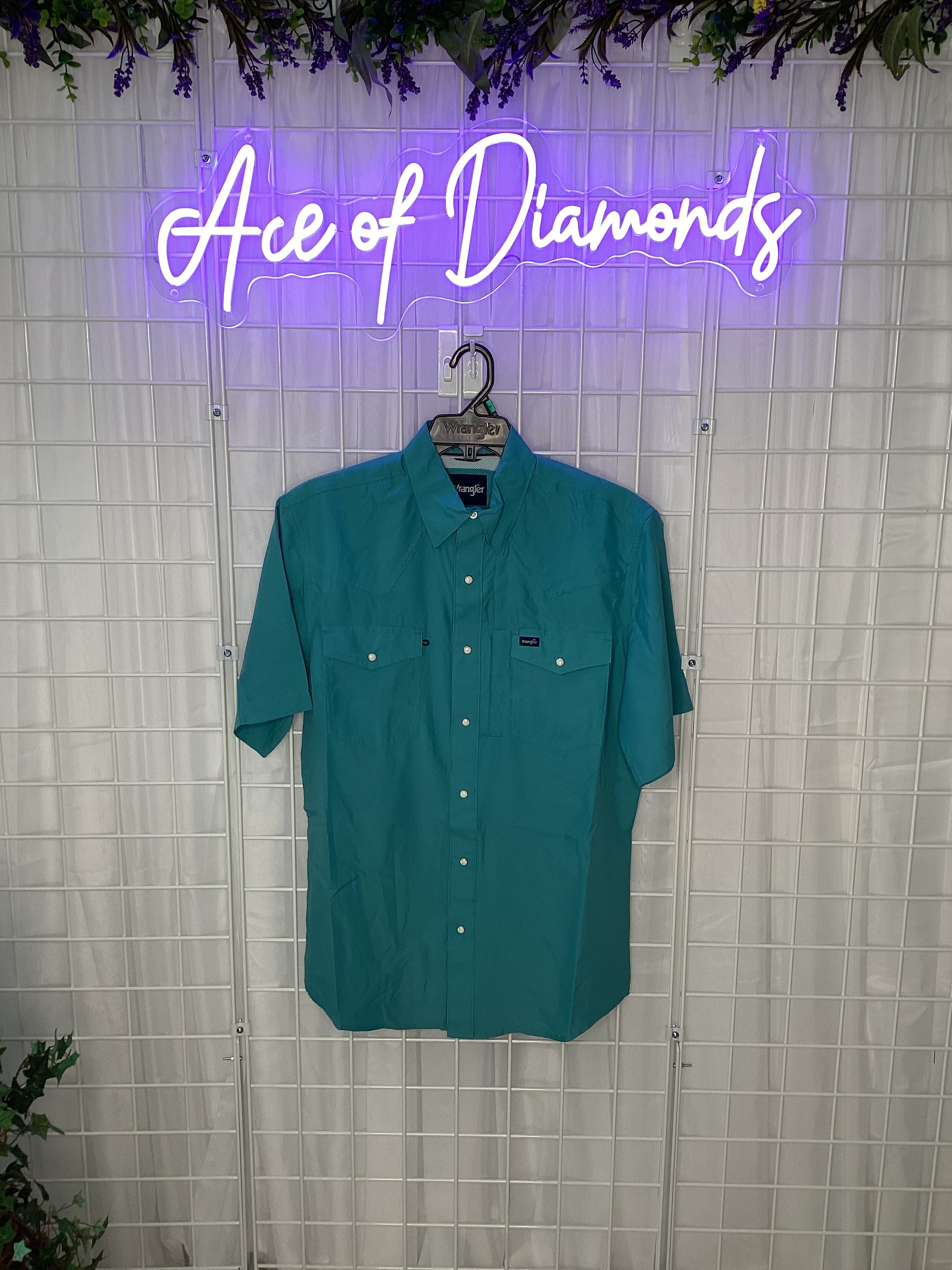 Robin’s Egg Wrangler