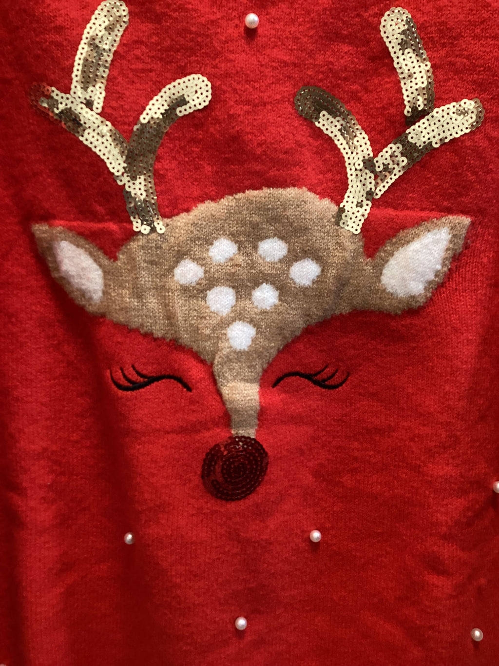 Ready to Sleigh!