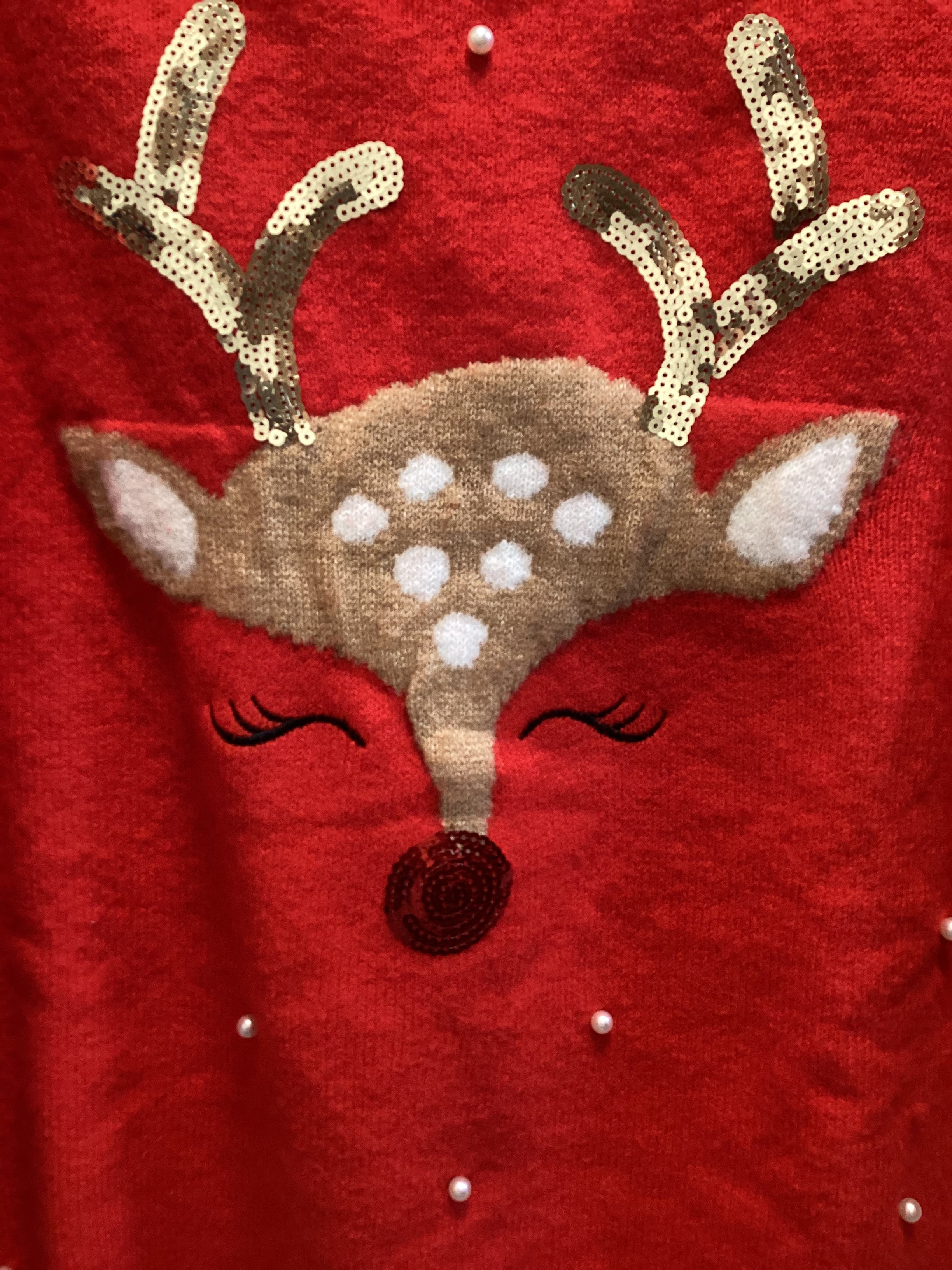 Ready to Sleigh!